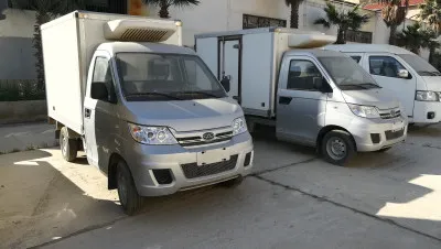 Chery Minitruck Frigo toujours disponible chez GM Trade