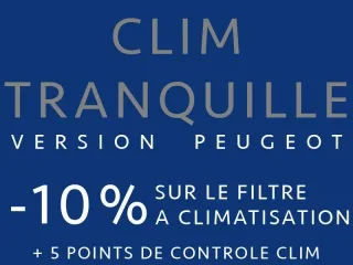 Peugeot Algérie : 10% de remise sur le filtre à climatiseur