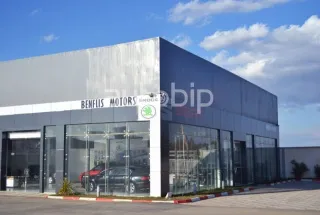 Benflis Motors (SOVAC) à Batna: Disponibilité Seat, Skoda et Audi sous 25 jours
