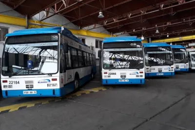 Transport : Nécessité de desservir les nouvelles cités d&#039;Alger par les lignes de l&#039;ETUSA