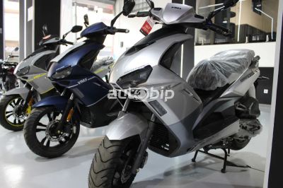 VMS Industries: les modèles actuellement disponibles - Juin 2025