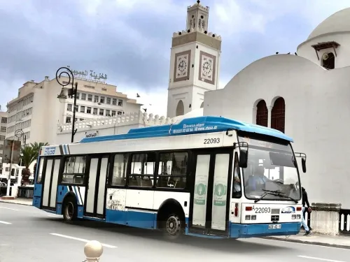 &quot;ايتوزا&quot; تطلق برنامجا خاصا بموسم الاصطياف ابتداء من السبت المقبل