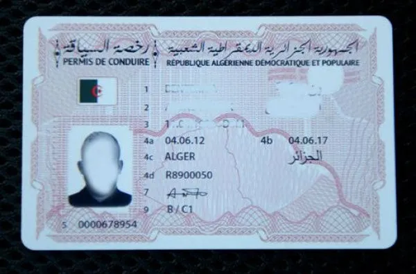 رخصة السياقة البيومترية في نهاية جانفي، نظام الرخصة بالتنقيط في جويلية