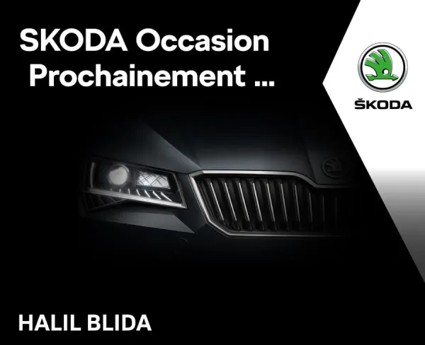 Halil Blida : Des véhicules Volkswagen, Seat et Skoda d’occasion pour bientôt