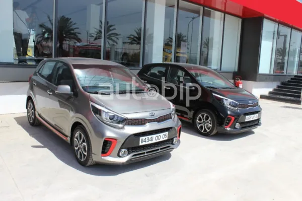 Kia Al Djazair: Suspension des ventes jusqu&#039;à nouvel ordre