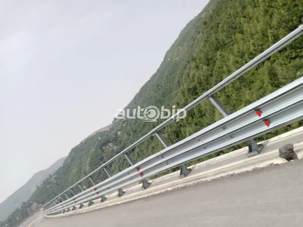 المدية: الوزير الأول يدشن محور الطريق السيار "الشفة-البرواقية"