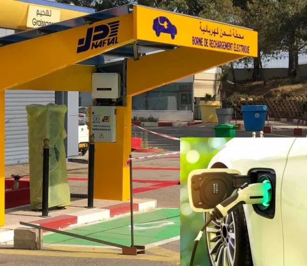 Véhicules électriques en Algérie: Sonelgaz chargée de la réalisation de bornes de recharge