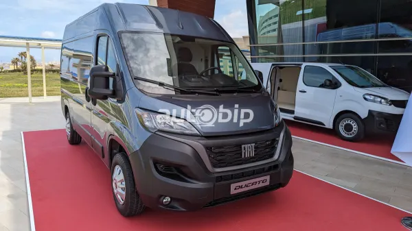 Le Fiat Ducato disponible à la commande chez Fiat El Djazair