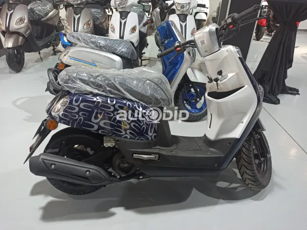 VMS Industries: les modèles actuellement disponibles - Juin 2023