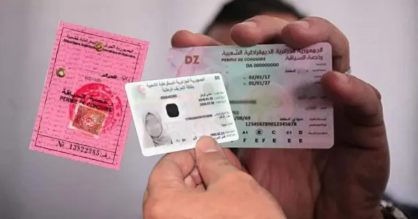 دليل قانون المرور الجديد: شروط الحصول على رخصة السياقة