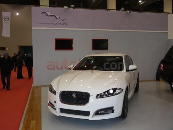 Jaguar enfin sur son trône