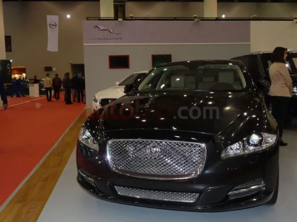 Jaguar enfin sur son trône