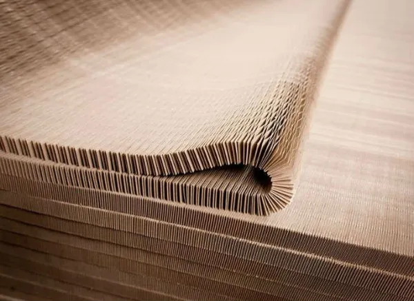 Ford développe un plancher de coffre en papier capable de supporter 300 kg