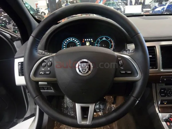 Jaguar : une présence fantôme