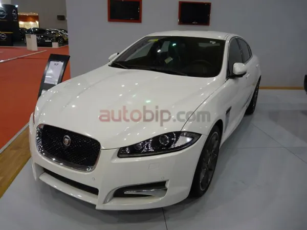 Jaguar : une présence fantôme