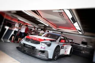 Course WTCC : Citroën affiche un succès triomphal