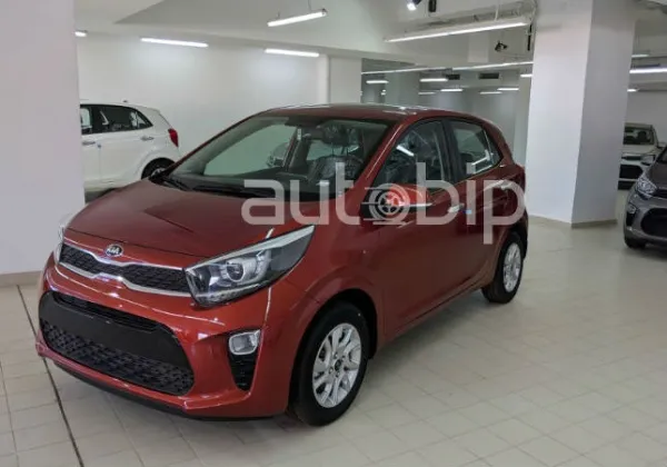 Kia Al Djazaïr : la Picanto LX Start+ Made In DZ à partir de 15 444 da/mois