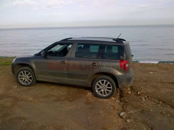 Skoda Yeti Expérience 