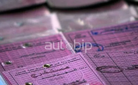 الموافقة على مشروعي رخصة السياقة و البطاقة الرمادية البيومترية