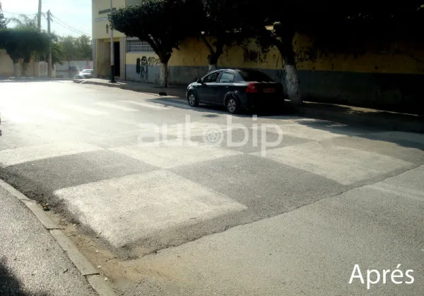 بدء مطابقة الممهلات