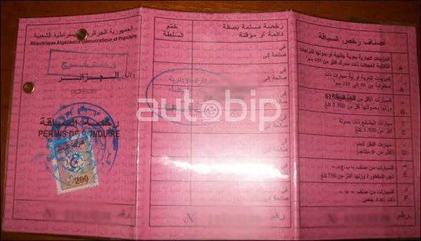 عرض رخصة السياقة بالنقاط أمام مجلس الحكومة اليوم